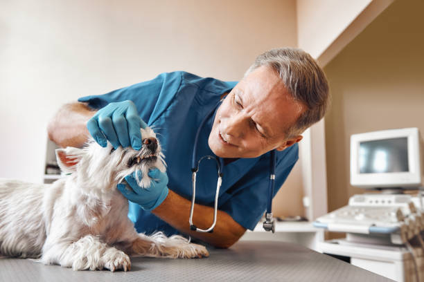 Best Emergency Tooth Extraction  in Ashburn, GA